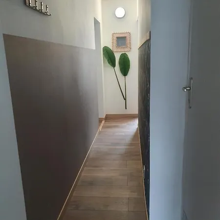 Bienvenue Chez Les Ch'oups Le Cocoon La Bourboule